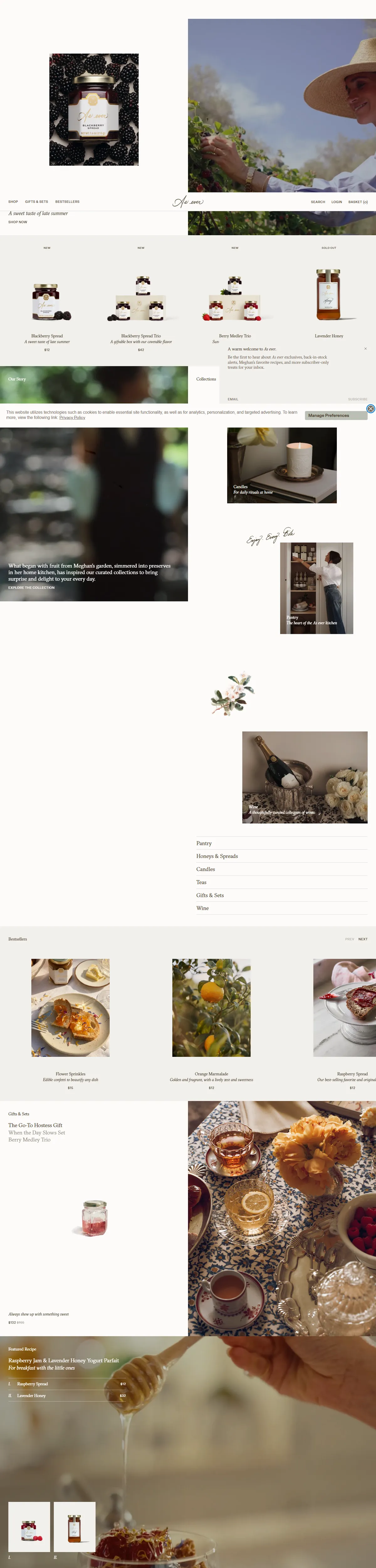 Full page of asever.com