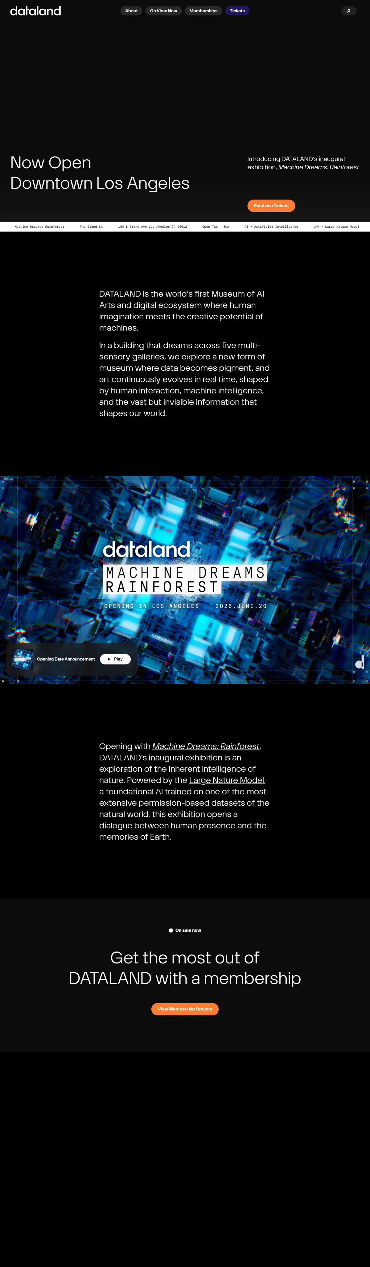 Full page of dataland.art